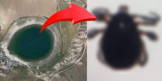 Yazın uğrak noktasıydı! Keneler yüzünden boş kaldı: Artık kimse gitmiyor