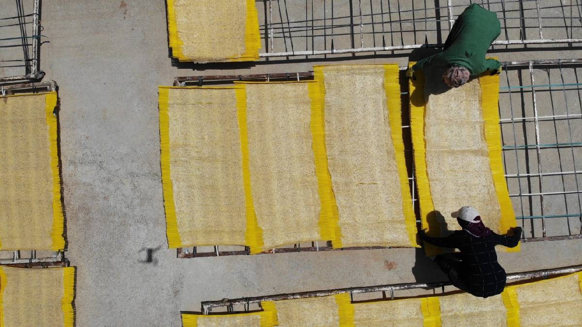 Çorbalık bizde, cipslik Avrupa’da! Bu ürün her haliyle kazandırıyor: Tescili namını daha da artırıyor