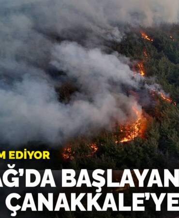 Tekirdağ’dan başlayan orman yangını Çanakkale’ye sıçradı: Müdahale devam ediyor