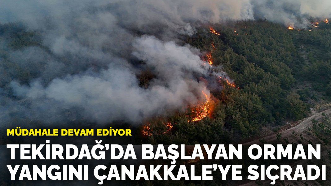 Tekirdağ’dan başlayan orman yangını Çanakkale’ye sıçradı: Müdahale devam ediyor