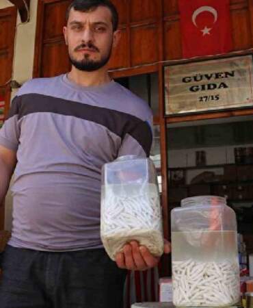 Doğada kendi kendine yetişiyor sütü servet kazandırıyor! Kilosu altına eşdeğer, 12 bin TL’ye satılıyor