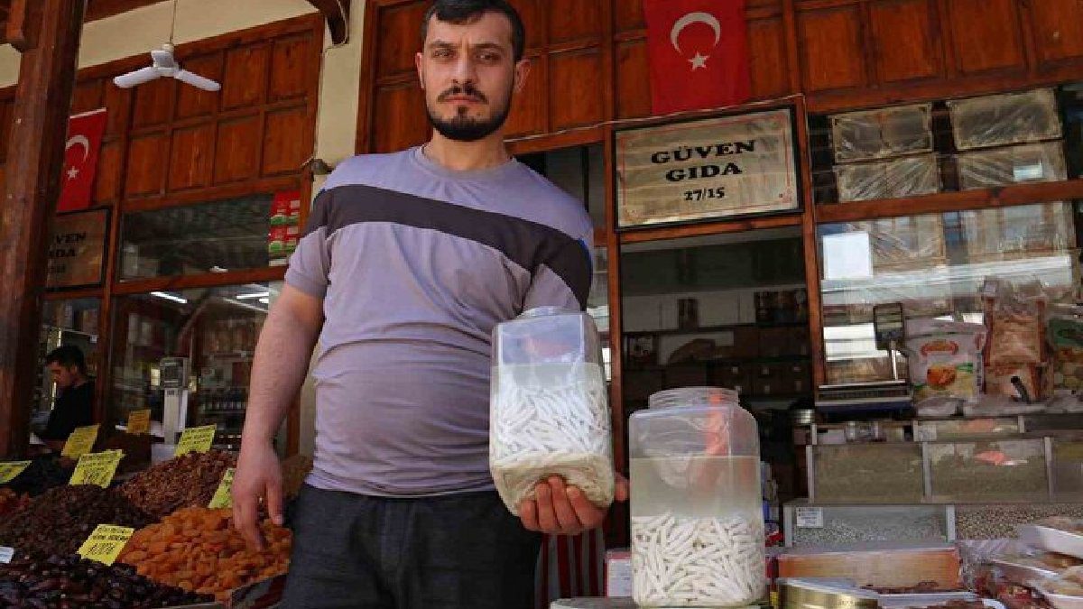 Doğada kendi kendine yetişiyor sütü servet kazandırıyor! Kilosu altına eşdeğer, 12 bin TL’ye satılıyor