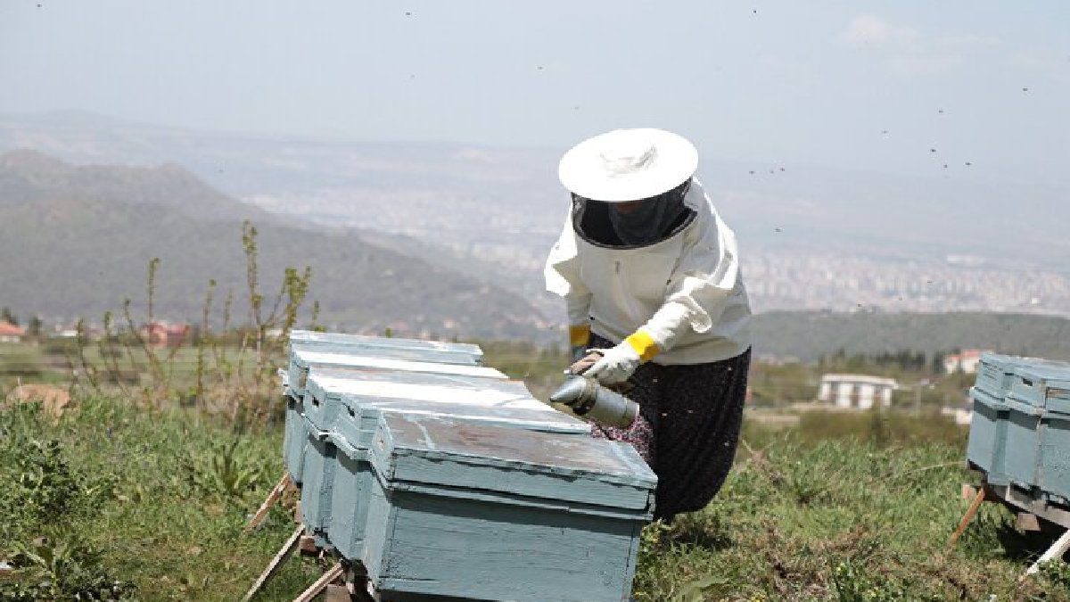 Kanser oldu ama hayata sarıldı! Çocuklarımın geleceği dedi, doğal yaşamı seçti! “Okumak şart değil”