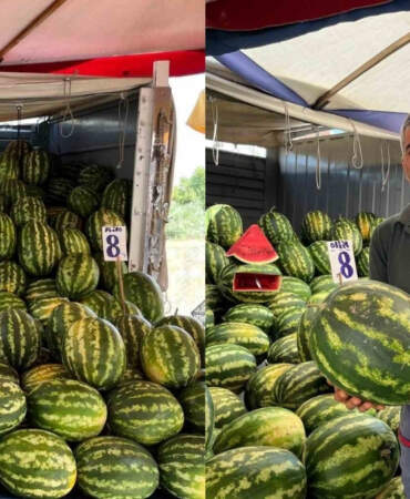 Ucuza satılıyor ama yüzüne bakılmıyor! Esnaf isyan ediyor: Karpuza beklenen talep yok