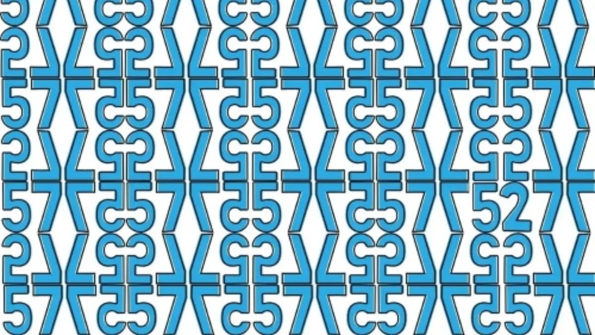 Gizli tek sayıyı bulabilir misin? Yalnızca Einstein’ine arkadaş olanlar bulabiliyor