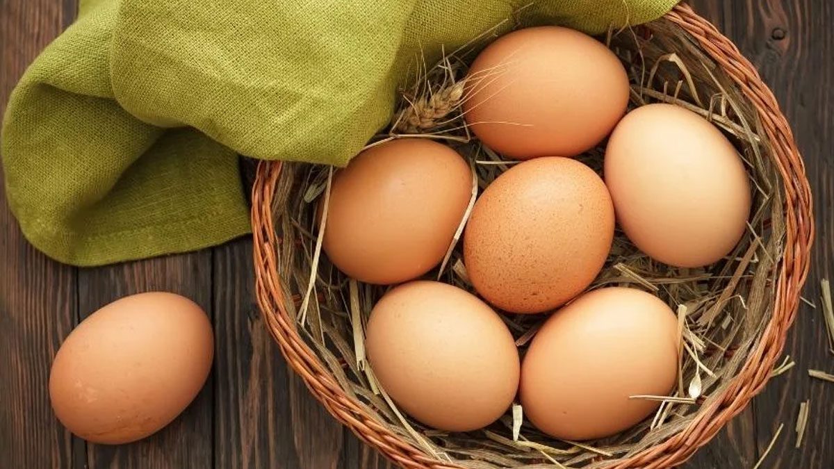 Yumurta israfına karşı yeni düzenleme