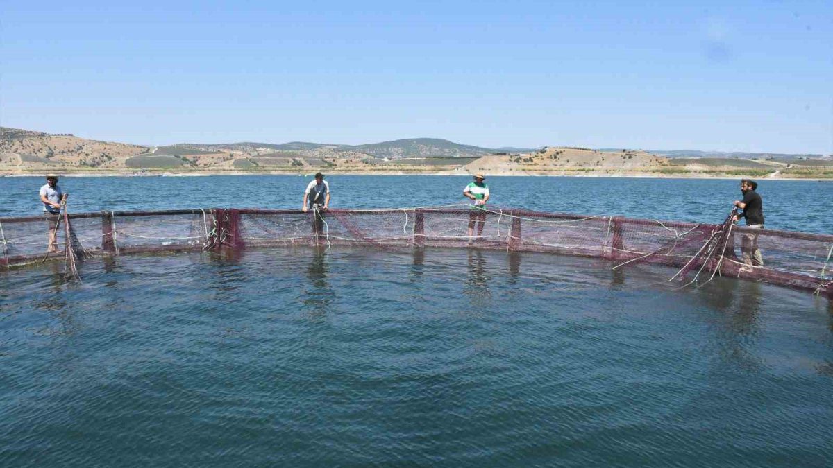 Deniz yok ama 225 ton balık üretiliyor! Çocukluk oyun alanı ekmek kapısına dönüştü! Yozgat’tan Rusya ve Japonya’ya…