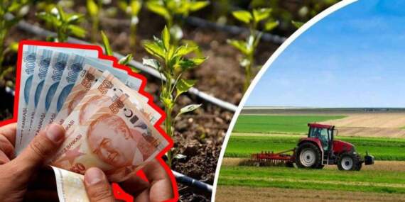 Çiftçilerin beklediği gün geldi! Bakan Yumaklı duyurdu: Hesaplara ödemeler yatırıldı!