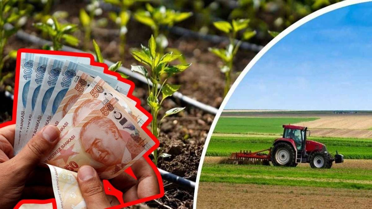 Çiftçilerin beklediği gün geldi! Bakan Yumaklı duyurdu: Hesaplara ödemeler yatırıldı!