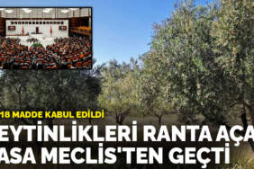 Zeytinlikleri ranta açan yasa Meclis’ten geçti: İlk 18 madde kabul edildi