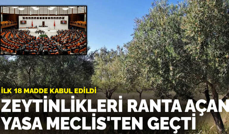 Zeytinlikleri ranta açan yasa Meclis’ten geçti: İlk 18 madde kabul edildi