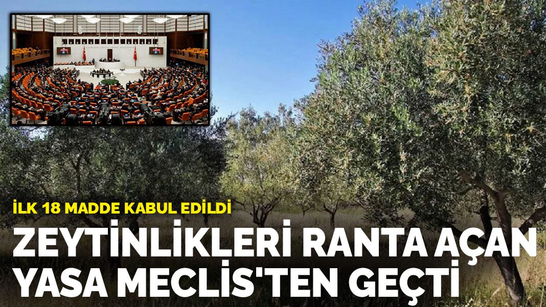 Zeytinlikleri ranta açan yasa Meclis’ten geçti: İlk 18 madde kabul edildi