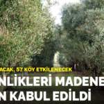 Zeytinlikleri madene açan kanun kabul edildi