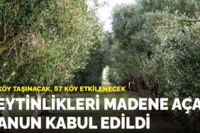 Zeytinlikleri madene açan kanun kabul edildi