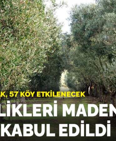 Zeytinlikleri madene açan kanun kabul edildi