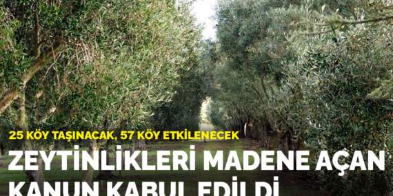 Zeytinlikleri madene açan kanun kabul edildi