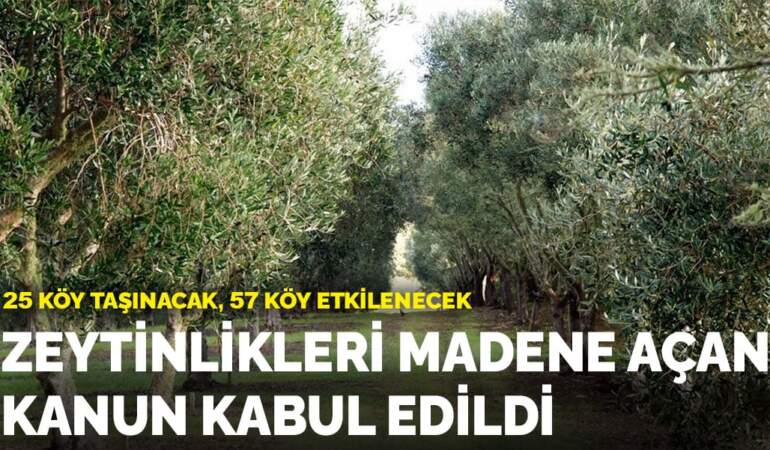 Zeytinlikleri madene açan kanun kabul edildi