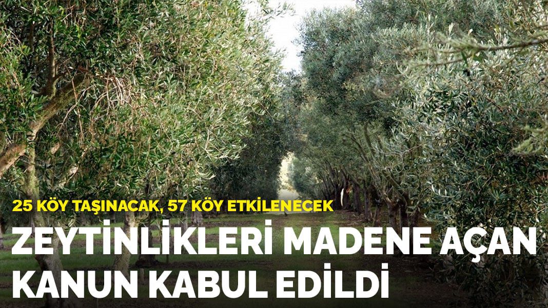 Zeytinlikleri madene açan kanun kabul edildi