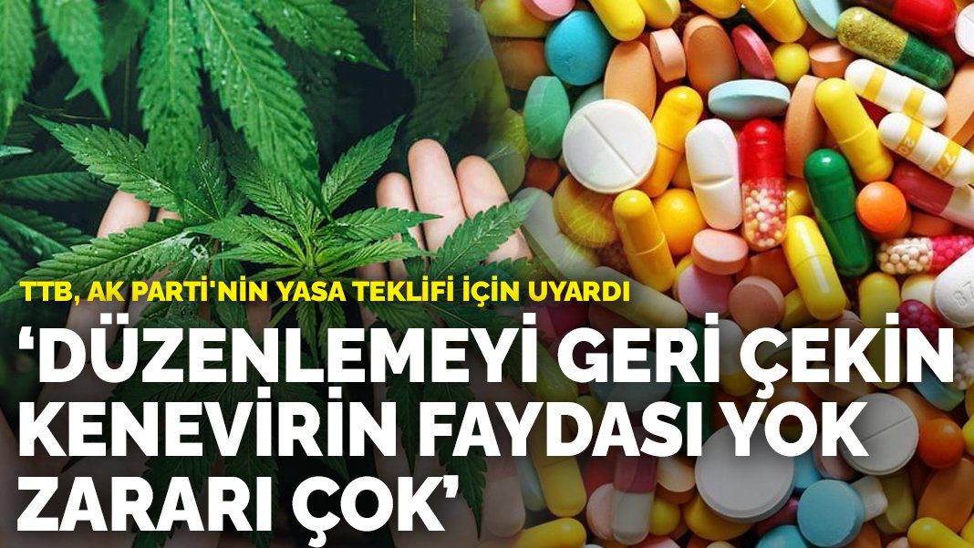 TTB, AK Parti’nin yasa teklifi için uyardı: Kenevir düzenlemesini geri çekin