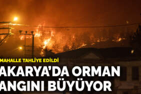 Sakarya’da orman yangını büyüyor! Bir mahalle tahliye edildi