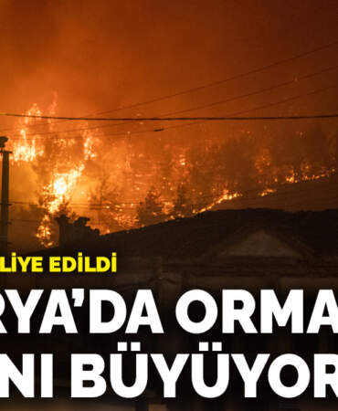 Sakarya’da orman yangını büyüyor! Bir mahalle tahliye edildi