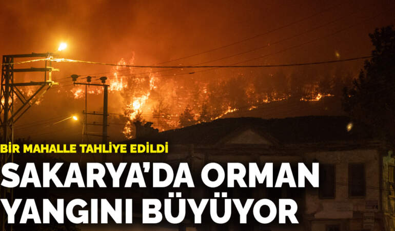 Sakarya’da orman yangını büyüyor! Bir mahalle tahliye edildi