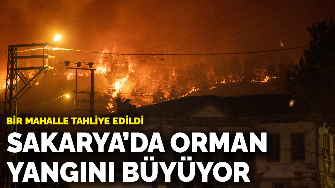 Sakarya’da orman yangını büyüyor! Bir mahalle tahliye edildi