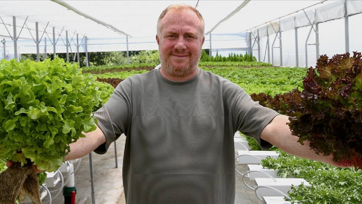 5 dönümde yetiştiriyor, toprağa ihtiyaç duymuyor! Aylık 10 ton ürün elde ediyor: Aynı gün sofralarla buluşturuyor