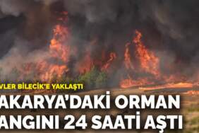 Sakarya’daki orman yangını 24 saati aştı: Alevler Bilecik’e yaklaştı