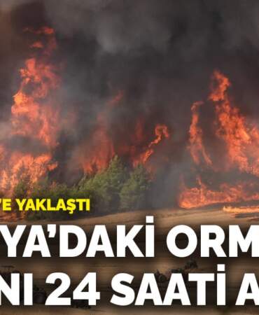 Sakarya’daki orman yangını 24 saati aştı: Alevler Bilecik’e yaklaştı