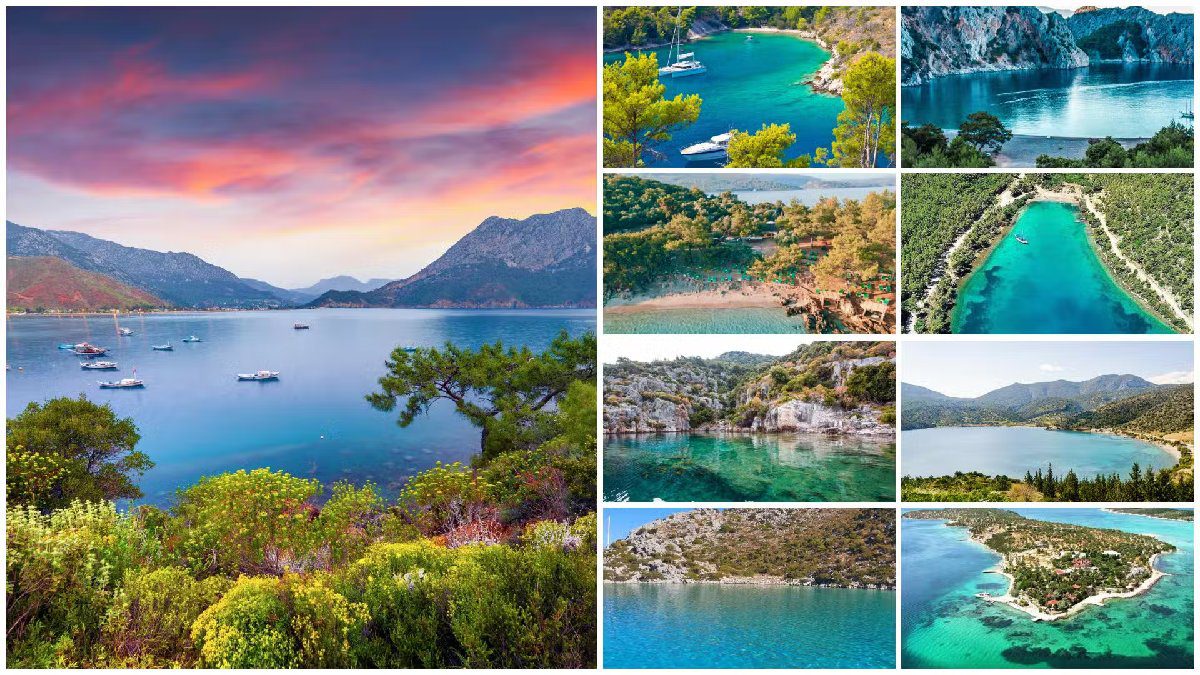 Temiz hava almak isteyen bu şehirlere koşacak! En çok orman bulunan şehirler açıklandı