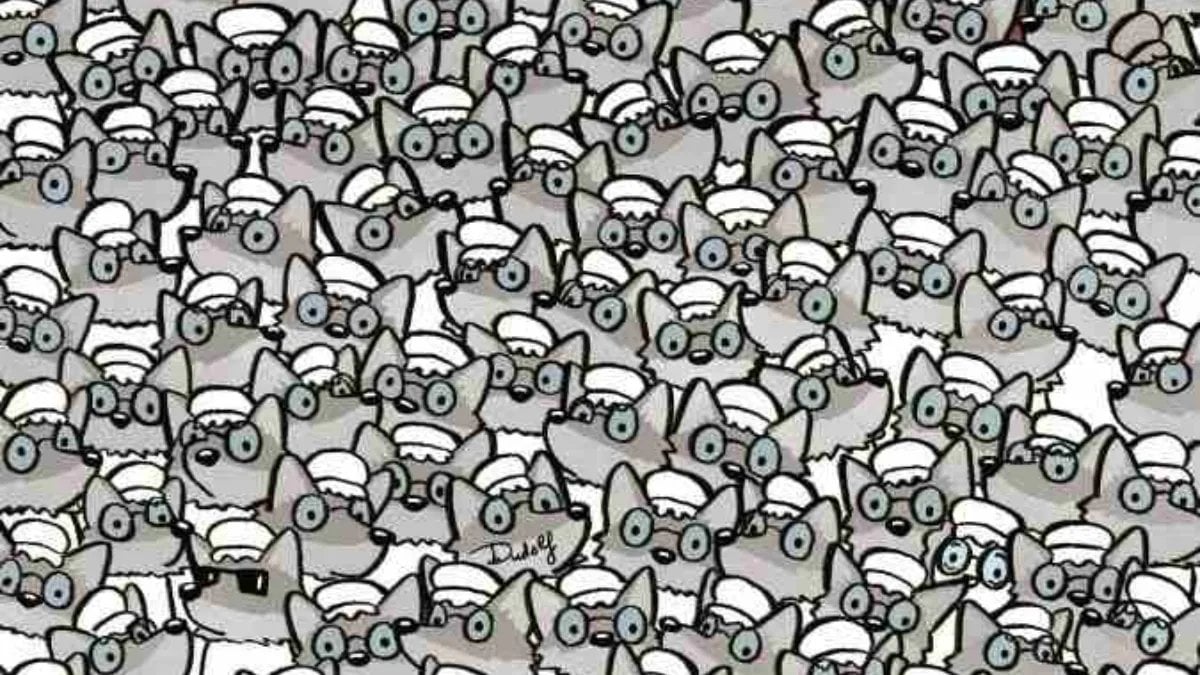 Kurtlar sofrasındaki yaşlı kadını kimse göremiyor! Şahin gözlüler buraya toplansın: 100 kişiden 99’u bulamıyor