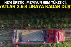 Kışlık hazırlayacaklar bu fiyatı kaçırmıyor! Hasat bol, fiyat uygun: Fiyatlar 2.5-3 liraya kadar düştü