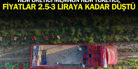Kışlık hazırlayacaklar bu fiyatı kaçırmıyor! Hasat bol, fiyat uygun: Fiyatlar 2.5-3 liraya kadar düştü