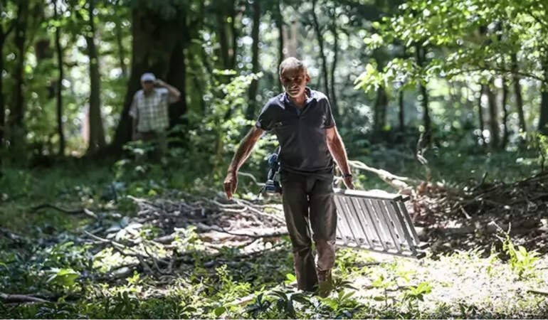 Bursa’nın gizli hazinesi! Karacabey Ormanlarında hasat ediliyor altın fiyatına satılıyor: Kilosu 1400 lirayı buluyor