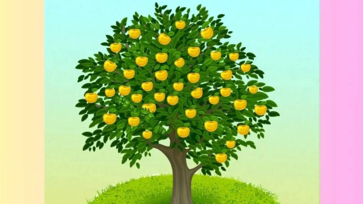 Dikkat kesil! Elmaların arasında saklanan biri seni bekliyor… Bulmak için 5 saniyeniz var