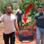 Merakının peşine düştü, üretim başladı! Şimdi 81 ile satıyor: Mardin’in üretimi çok seviliyor