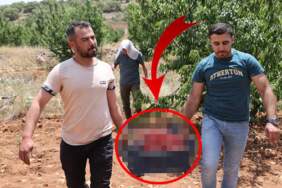 Merakının peşine düştü, üretim başladı! Şimdi 81 ile satıyor: Mardin’in üretimi çok seviliyor