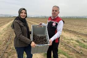 Yurt dışında keşfetti, Türkiye’de üretti! 3 yılda başardı şimdi yurt dışına satmayı hedefliyor