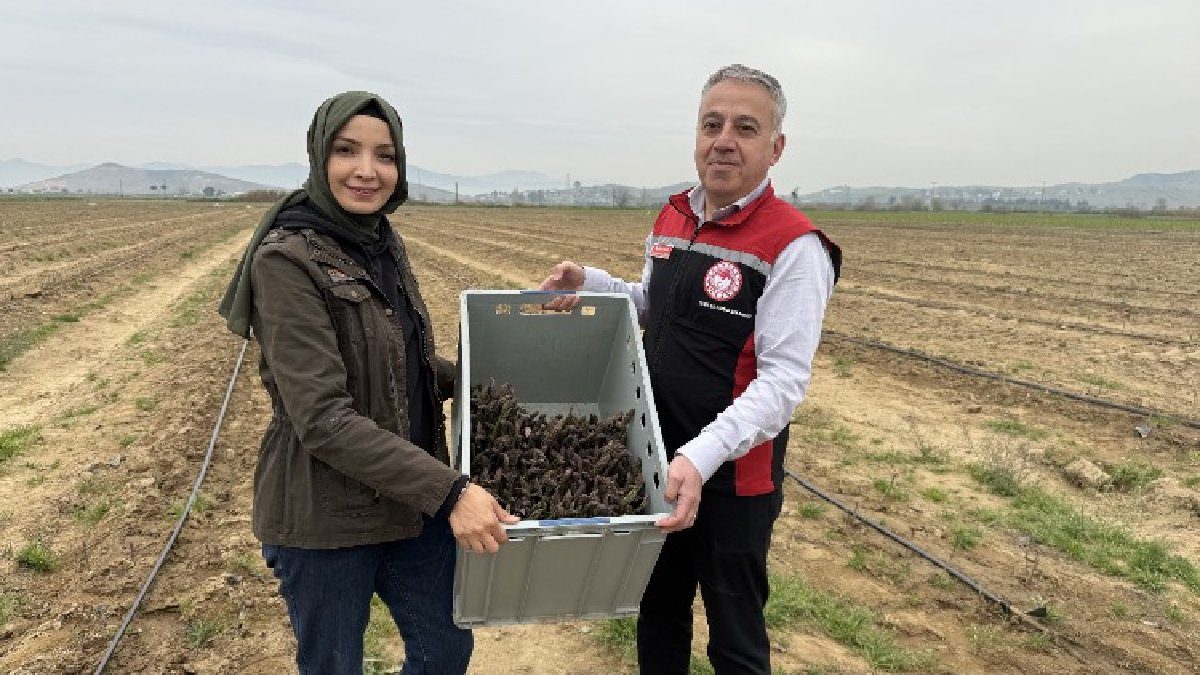 Yurt dışında keşfetti, Türkiye’de üretti! 3 yılda başardı şimdi yurt dışına satmayı hedefliyor
