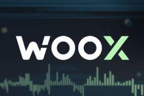 WOO X Kripto Para Borsası Siber Saldırıya Uğradı: 12 Milyon Dolarlık Kayıp