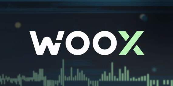 WOO X Kripto Para Borsası Siber Saldırıya Uğradı: 12 Milyon Dolarlık Kayıp
