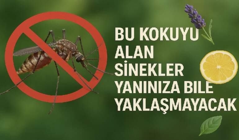 Bu kokuyu süren sinek kabusunu unutuyor! Tüm sinekler kaçacak delik arayacak