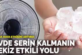 Sıcak hava etkisini artırdı: Evde serin kalmanın sekiz etkili yolu