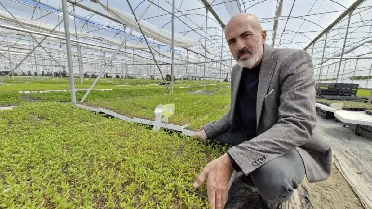 Para vermeden üretiyorlar, kendi tarlalarına ekiyorlar! ‘12 ay boyunca üretilmeli’