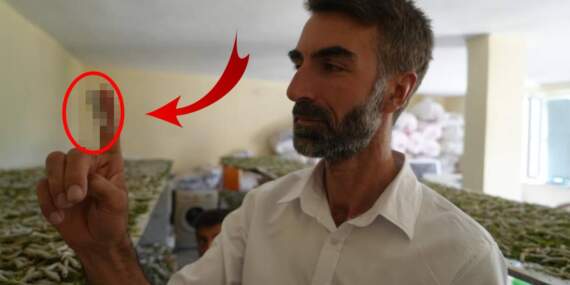 ‘Uğraşma’ diyenlere aldırmadı, üretime başladı! Alım garantisi veriliyor: 50 günde binlerce lira kazandırıyor