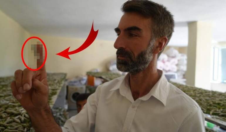 ‘Uğraşma’ diyenlere aldırmadı, üretime başladı! Alım garantisi veriliyor: 50 günde binlerce lira kazandırıyor