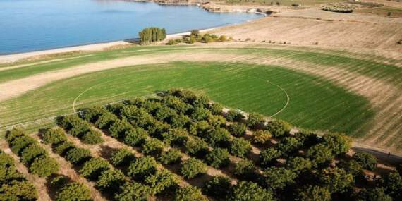 Coğrafi işaretli üründe hasat vakti! Tüm dünya almak için yarışıyor: Orada 2025 hasat heyecanı yaşanıyor