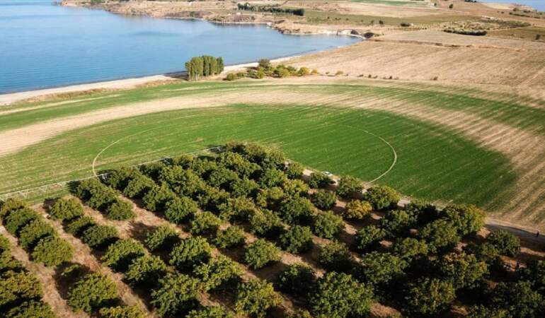 Coğrafi işaretli üründe hasat vakti! Tüm dünya almak için yarışıyor: Orada 2025 hasat heyecanı yaşanıyor