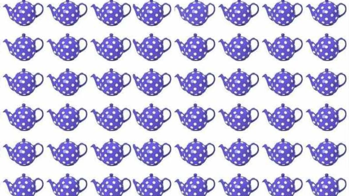 Göz yanılgısına kapılmayın! Farklı çaydanlık burada ama nereye gizlendi?